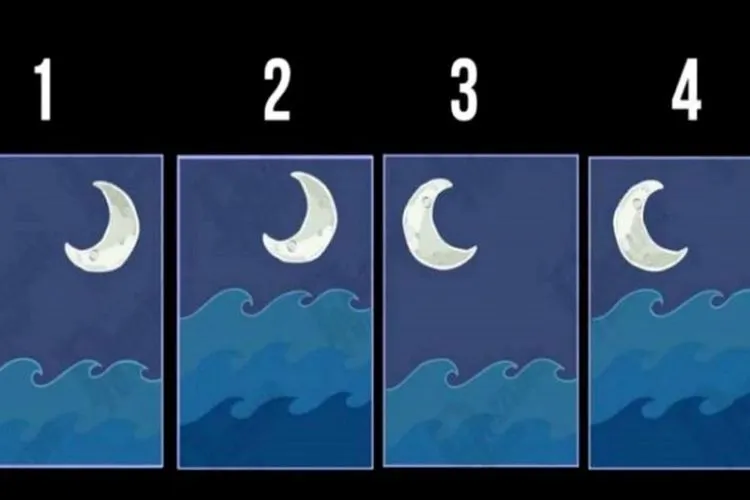 Tes Kepribadian (Dok: Namastest)