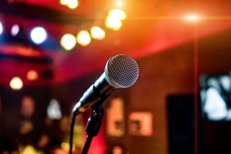 Ilustrasi Karaoke (Pixabay)