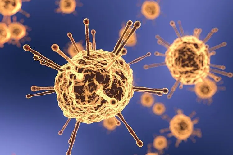 Ilustrasi Virus Corona (Pixabay)