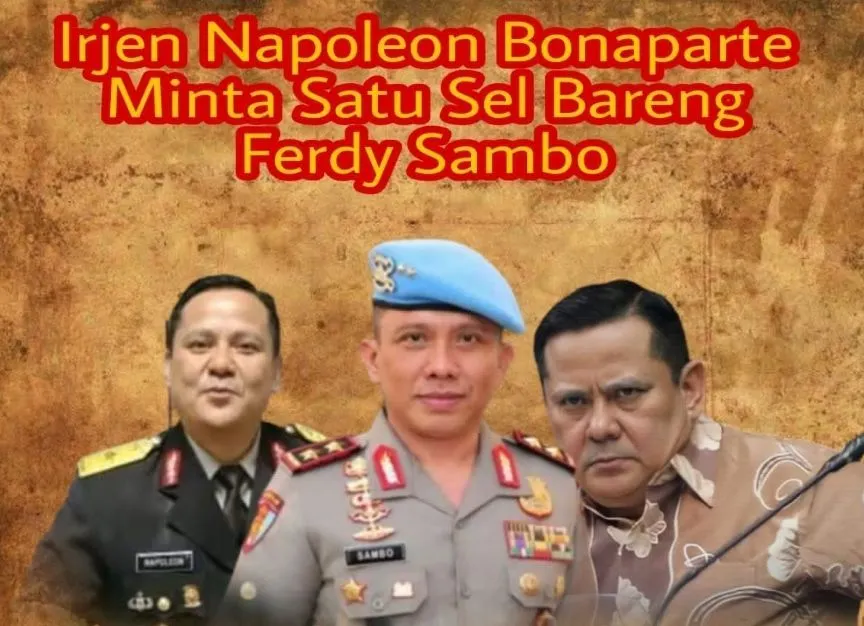 napoleon dan ferdy