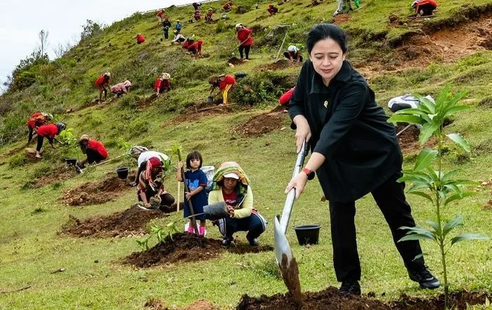 Baru-baru ini beredar foto Ketua DPR RI Puan Maharani yang sedang menanam pohon.  Warganet sontak mengomentari foto Puan Maharani dengan menyebutnya menggunakan efek green screen.