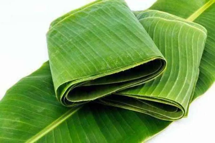 Ilustrasi daun pisang