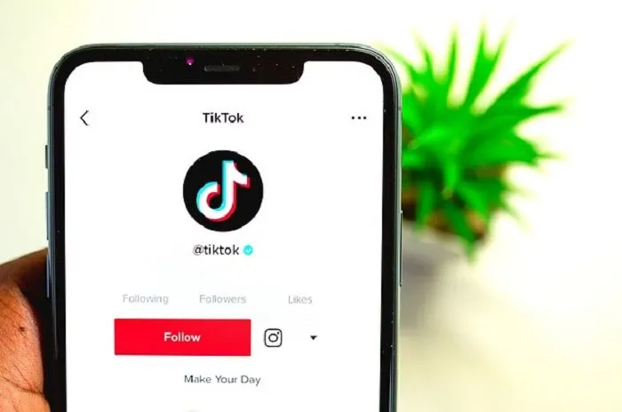Ilustrasi tebak-tebakan viral di TikTok.