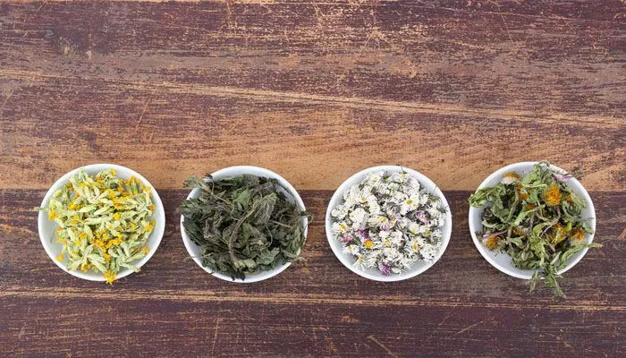 Ilustrasi ramuan herbal untuk membuat jamu. (foto: pixabay)