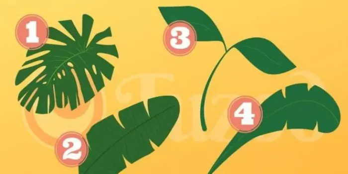 Tes Kepribadian: Seberapa Sering Kamu Menyembunyikan Perasaan