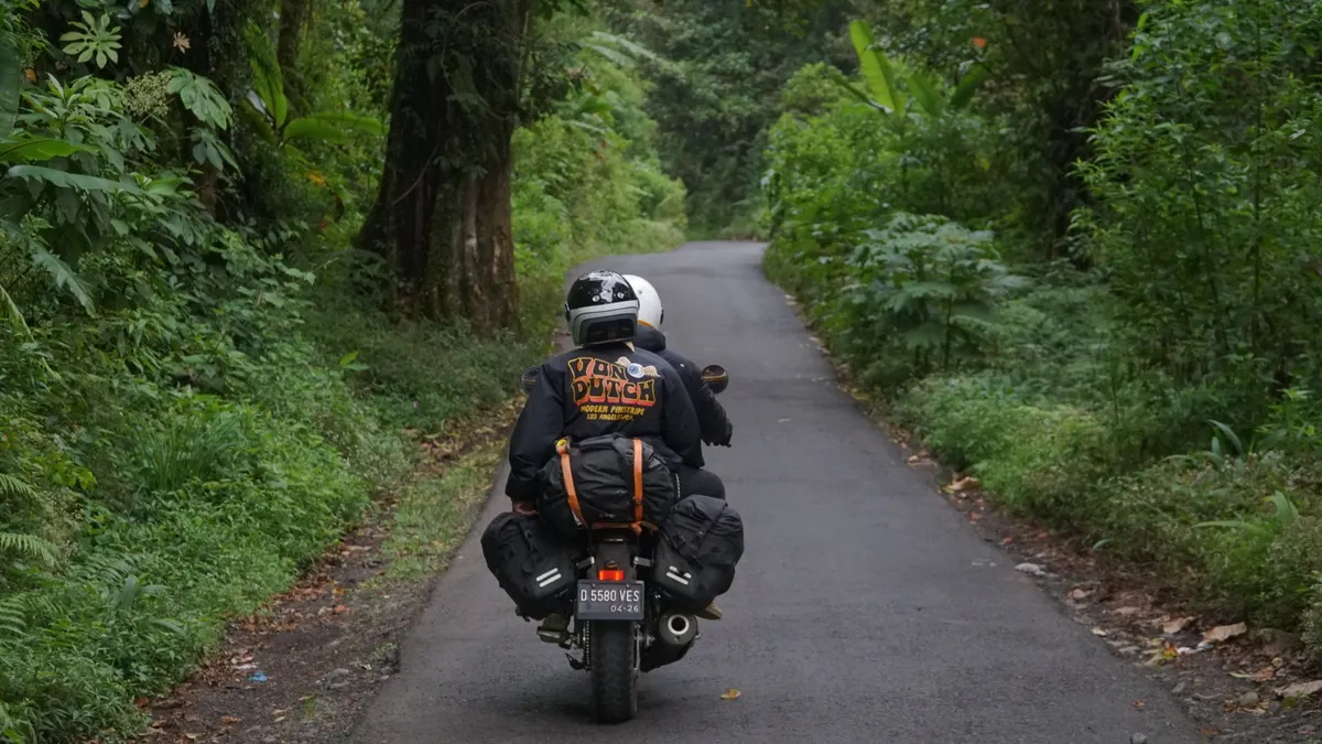 dok. yamaha