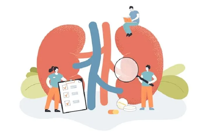Jangan Sepelekan Penyakit Ginjal, Ini Cara Pencegahan dan Kenali Ciri-cirinya