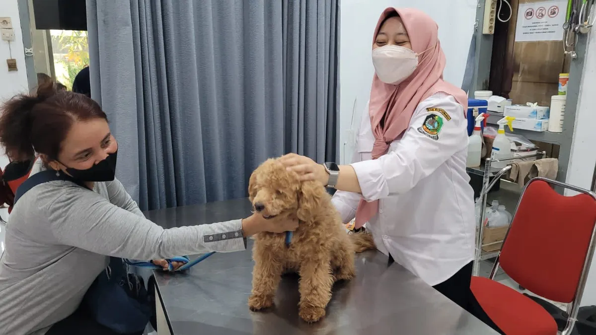 Info vaksinasi rabies gratis di Jakarta