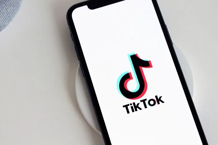 Ilustrasi teka-teki viral di TikTok, 'Gajah terbang nampak apanya?' dan frase kata 'Kamu Nanya?'. 