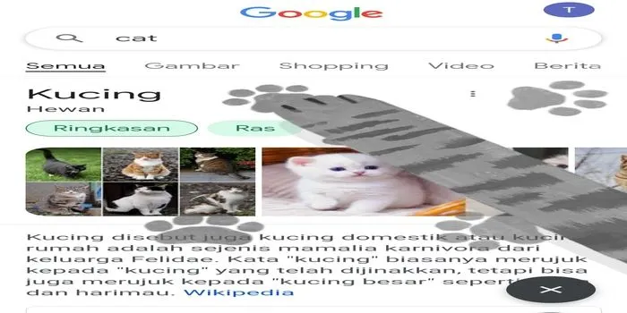 Game di Google  memperingati hari kucing sedunia 8 agustus 