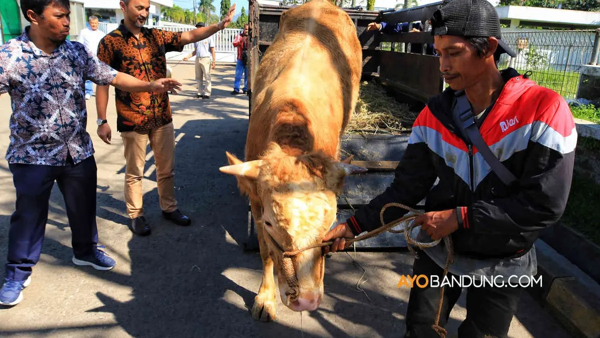 Bacaan Niat Kurban Idul Adha 2022 untuk Orang Tua dan Orang yang Sudah Meninggal Dunia