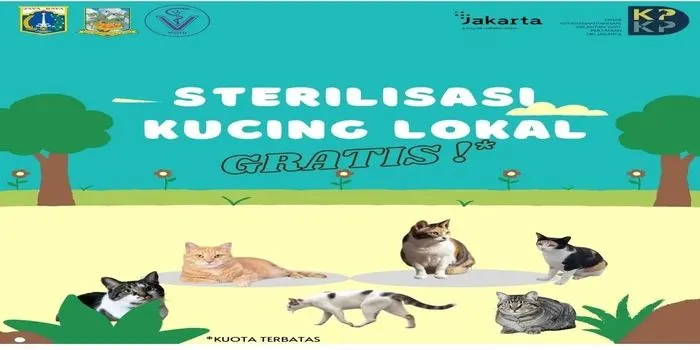 program sterilisasi kucing Gratis