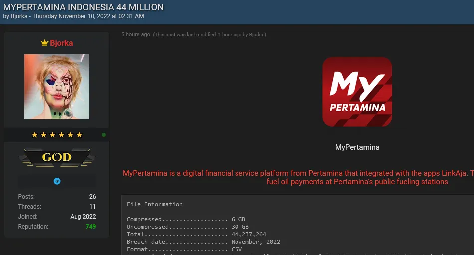 Bjorka jual database yang diduga milik MyPertamina dengan harga mencapai Rp390juta.