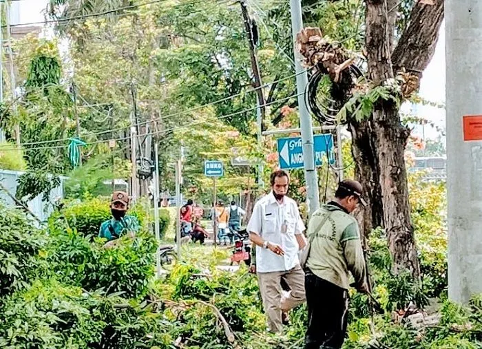 Satgas Sudin Pertamanan dan Hutan Kota Jakarta Pusat melalukan pemangkasan pohon rawan tumbang 