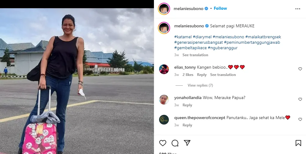 Aktivis Kemanusiaan, Melanie Subono
