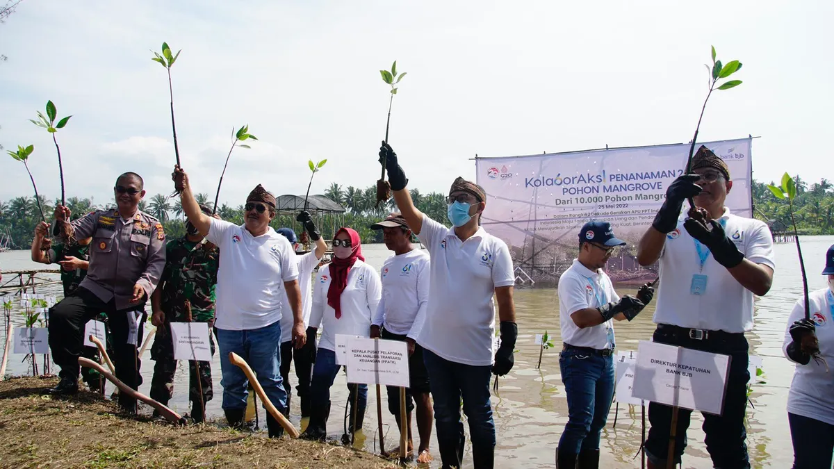 Penanaman Pohon Mangrove bank bjb oleh Gubernur Jawa  Barat Ridwan Kamil.
