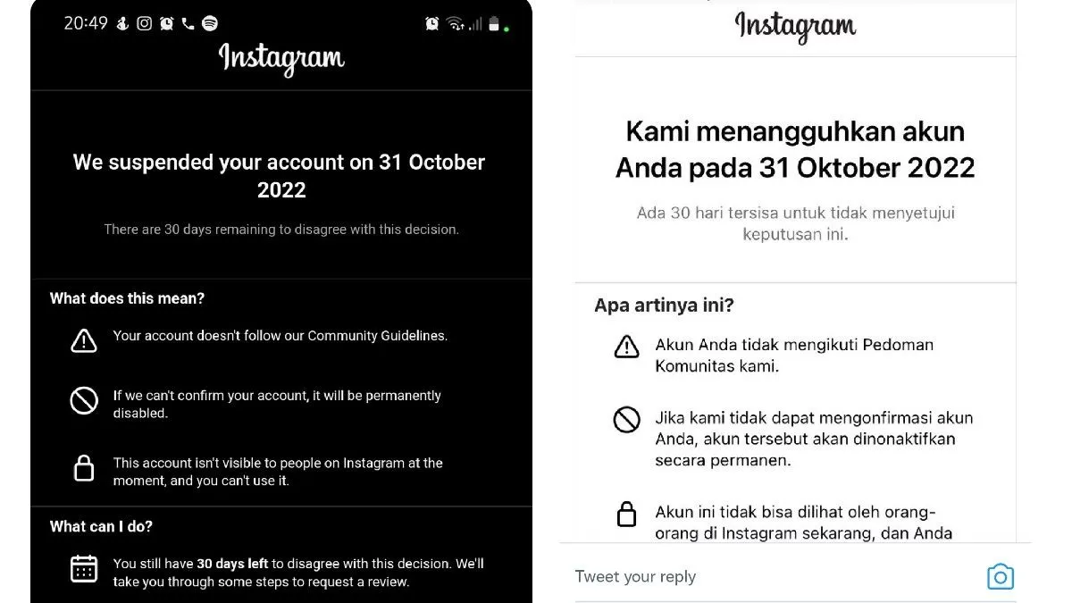 Hashtag Ini Instagram Trending di Twitter, Banyak Akun yang Ditangguhkan, Apa Sebabnya?