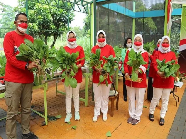 Tim Penggerak Pemberdayaan Kesejahteraan Keluarga Kota Administrasi Jakarta Selatan, melakukan Kegiatan Panen Raya di Agro Edukasi Wisata Ragunan