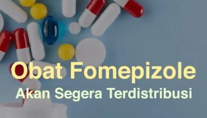 Mengenal Fomepizole, Obat Terapi Pasien Gagal Ginjal, Cek Fakta Berikut!