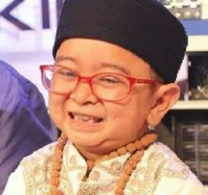 Daus Mini.