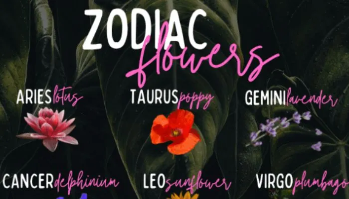 Bunga Terbaik untuk Tiap Zodiak: Aries Lotus, Scorpio Krisan, Kamu Apa?