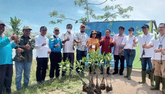 Penanaman Mangrove, Upaya PNM Melestarikan Ekosistem Laut di Medan