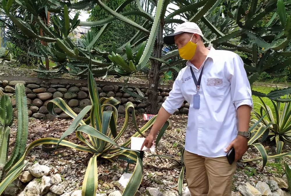 Asisten Manajer Konservasi Kebun Raya Bogor Junaedi saat menjelaskan tentang KTP pohon berbasis barcode. (Yogi Faisal)