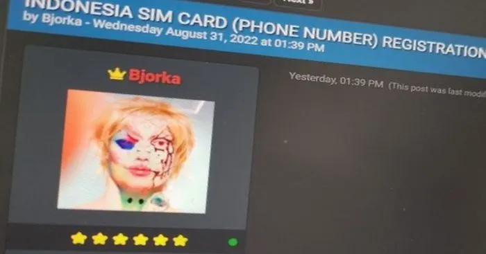 Identitas hacker Bjorka disebut tidak akan terungkap.