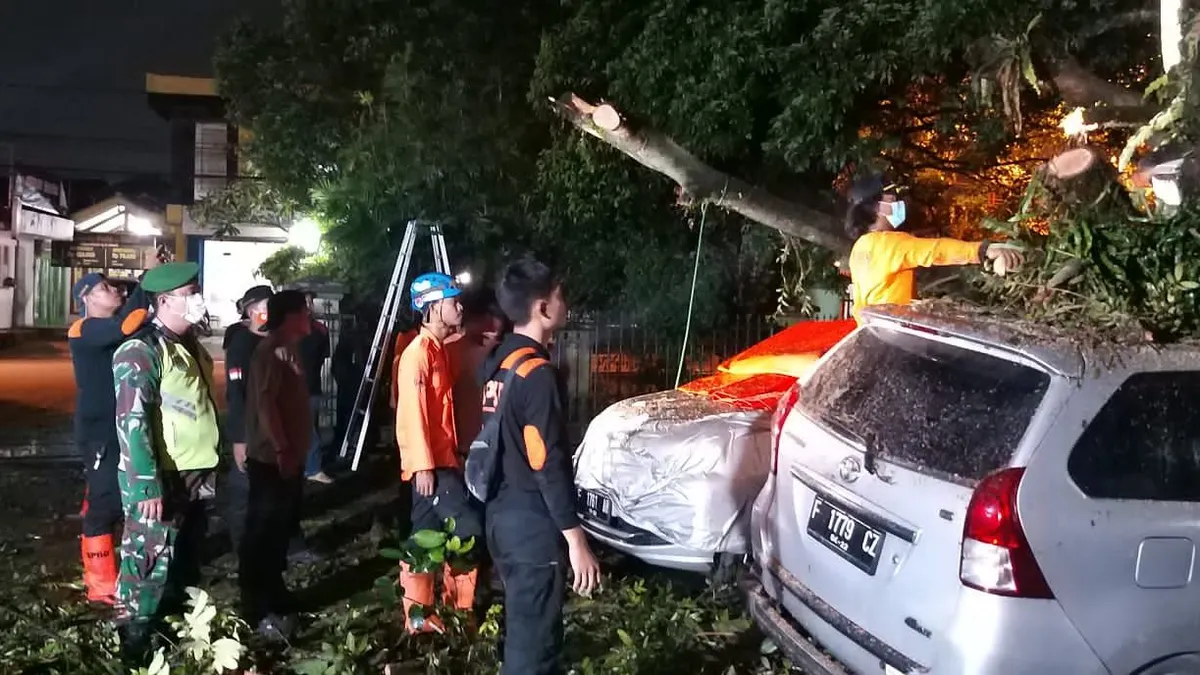 Sehari Diguyur Hujan Dua Pohon Tumbang, 4 Mobil Warga Jadi Korban