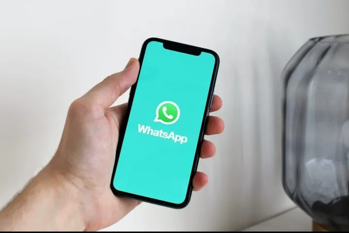 Ternyata Ini Arti Lingkaran Putus di WA, Anda Tak Usah Bingung Lagi!