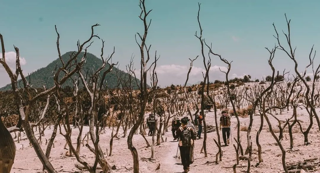 Deretan Gunung di Indonesia yang Jadi Tempat Upacara HUT RI, Ada Merapi hingga Papandayan