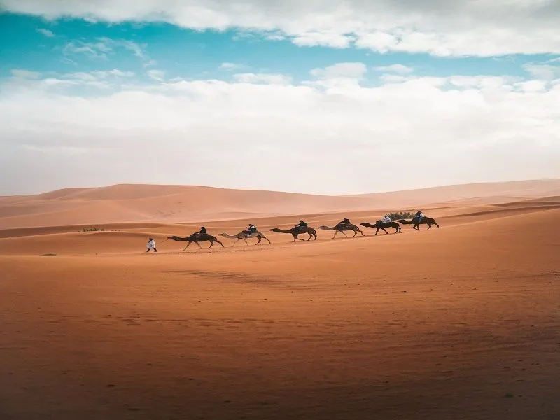  8 Fakta Gurun Sahara