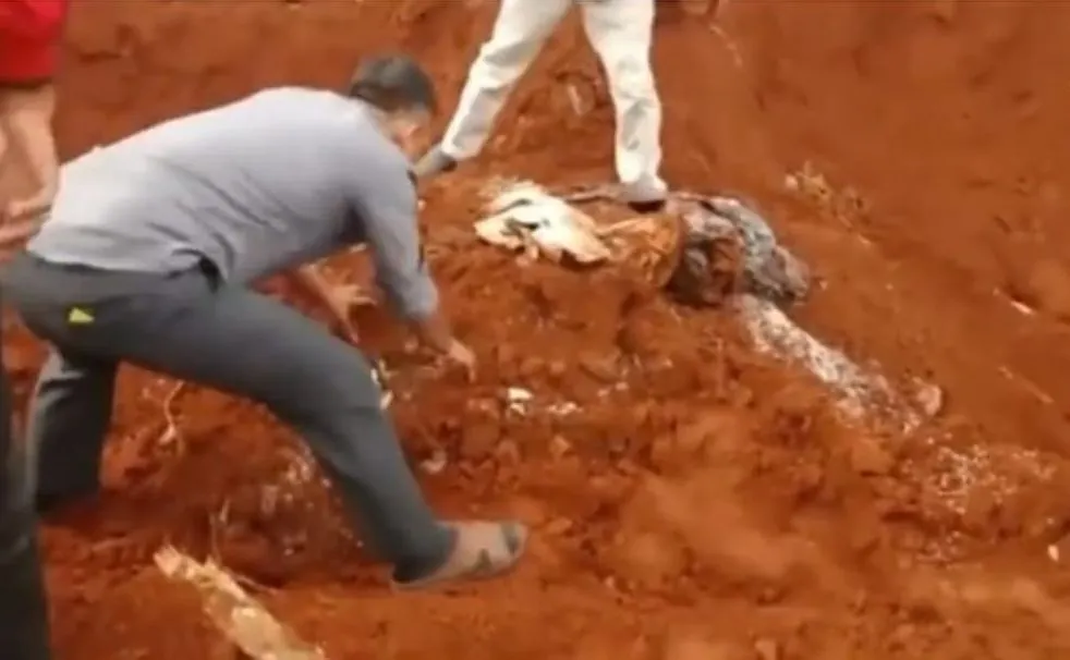 Viral! JNE Pendam Beras Bansos Presiden