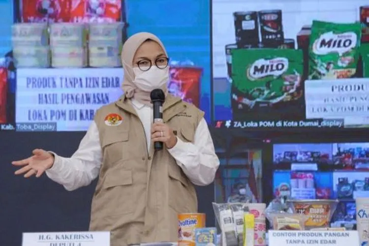 Kepala Badan Pengawas Obat dan Makanan (BPOM) Penny K. Lukito / dok. BPOM