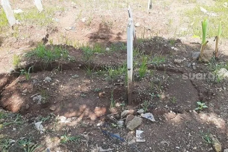 Penampakan makam korban Covid-19 di TPU Bambu Apus, Jaktim seusai digenangi banjir. (Suara.com/Yaumal)