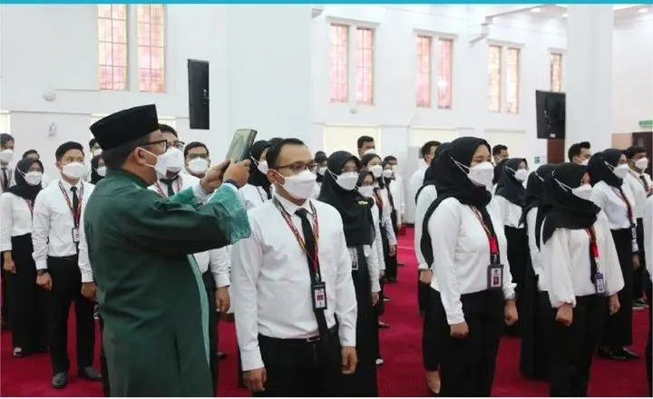 Selamat! Tenaga Honorer Bisa Diangkat Jadi CPNS 2023, Seleksi Terpisah dari Pelamar Umum