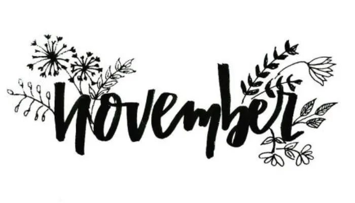 Sifat baik dan buruk orang yang lahir bulan November