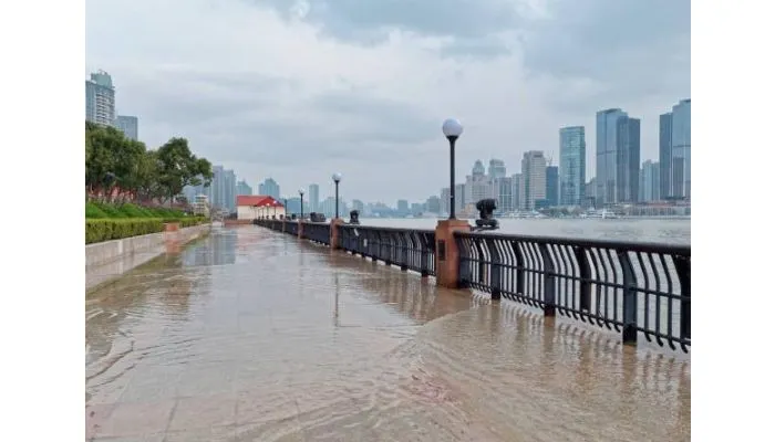 Waspada Banjir Rob! Catat 9 Wilayah Jakarta Utara yang Berpotensi Terdampak dan Persiapan Penanggulangannya