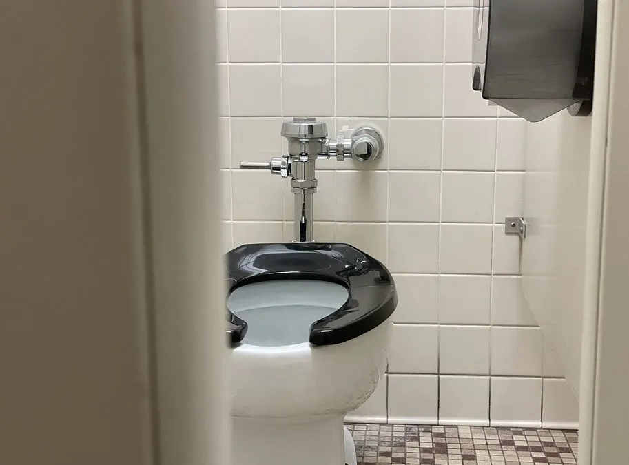 Ilustrasi toilet.