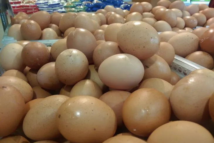 telur