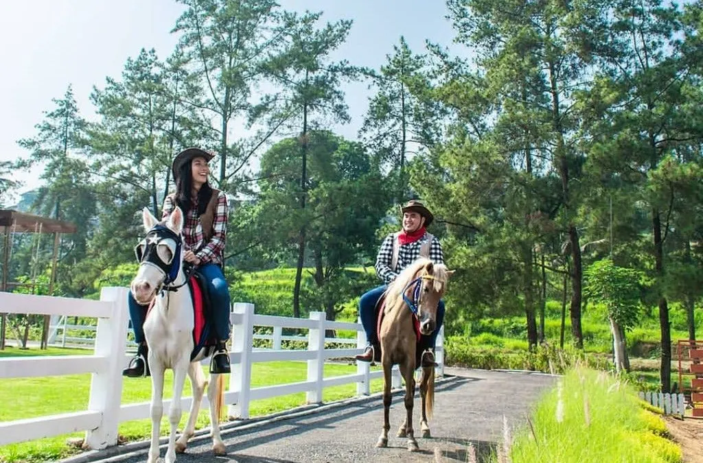 Cimory Dairyland (Dok. Isntagram)