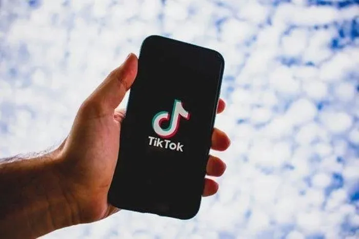 3 Link Download Video TikTok Tanpa Watermark Gratis dan Mudah
