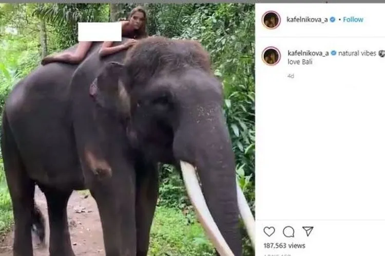 Alesya Kafelnikova, Model yang Dikritik karena Naik Gajah sambil Telanjang di Bali (instagram.com/kafelnikova_a)