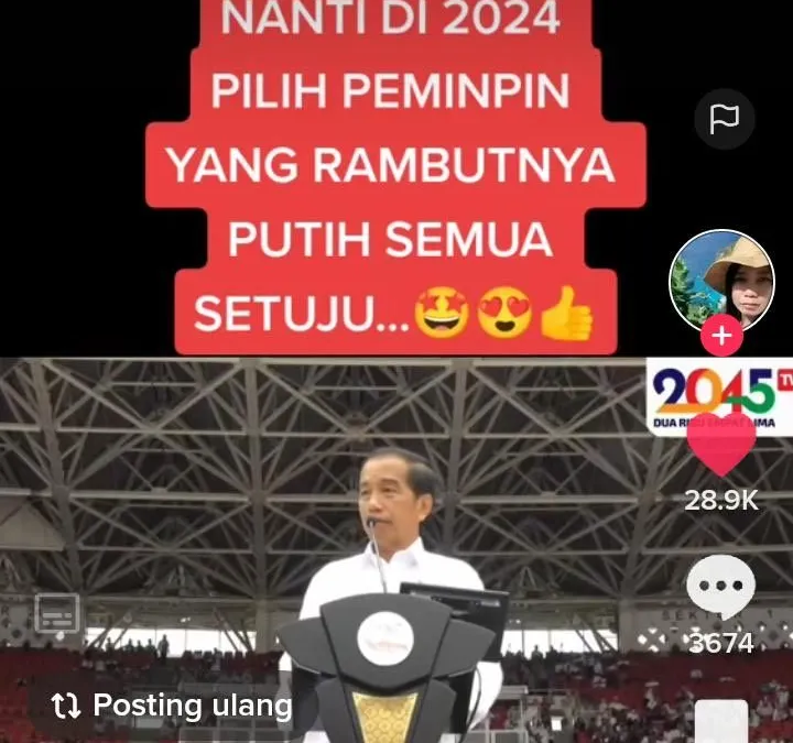 Jokowi Isyaratkan Presiden di 2024 : Yang Rambutnya Putih, Pemimpin Mikirin Rakyat, Warganet Sebut Orang Ini