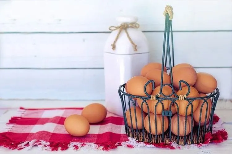 Ilustrasi telur / Pixabay