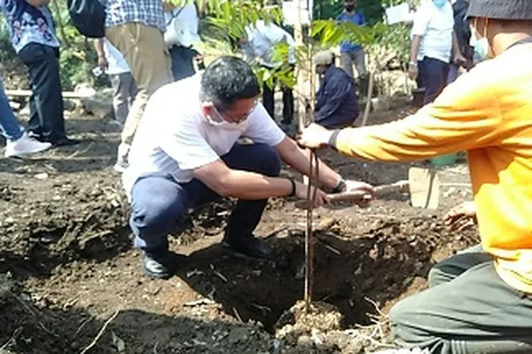 Proses penanaman pohon di lahan PT Perkebunan Nusantara VIII (PTPN VIII) di Desa Tugu Selatan, Kecamatan Cisarua, Kabupaten Bogor. (Ayobogor/ Yogi Faisal)