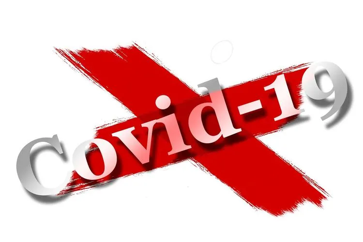 Ilustrasi Covid-19 (Pixabay)