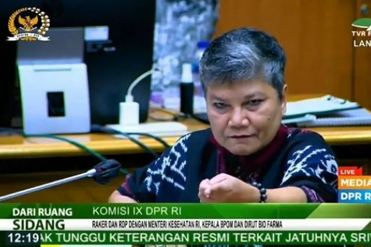 Anggota DPR RI dari Fraksi PDIP, Ribka Tjiptaning, saat raker dan RDP bersama Menkes Budi Gunadi di DPR. (istimewa)