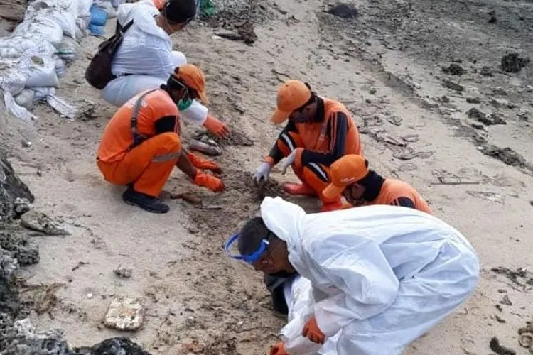 Petugas gabungan membersihkan tumpahan minyak di Pulau Pari, Kepulauan Seribu. Foto: Dok Pertamina