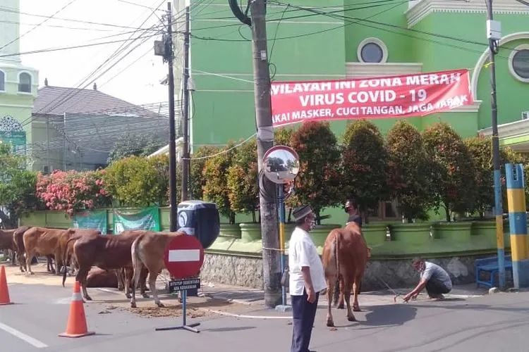 Salah satu RW zona merah di Kelurahan Jati, Jakarta Timur/ayojakarta/eries.adlin